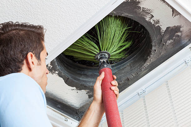 Best Air Duct Mold Removal  in Clinton, MD